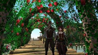 Коты на летнем фестивале в ArcheAge