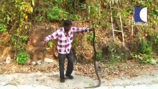 Vava Suresh Catching A Giant KING COBRA Who tries to Attach him | SNAKE MASTER EP 29