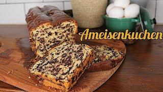 AMEISENKUCHEN| STRACCIATELLA KUCHEN| CHOCOLATE CHIP KUCHEN