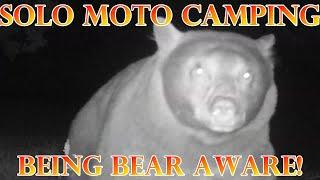 Solo Moto Camping.  Being bear aware.