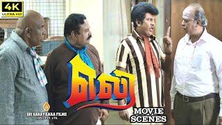 "ELI" Tamil Movie பிழையில்லாமா  திருத்தி எழுதி  வாங்கிகிட்டு வாங்க  Vadivelu Comedy Tamil #scene HD