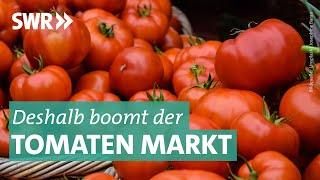 Das Geschäft mit Tomaten | Marktcheck SWR