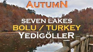 Discover Seven Lakes National Park | Bolu City | Turkey Destinations | VLOG