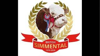 Simmental Youngstock Show at AgriExpo Borderway Carlisle at 8.30am on Friday 1st November’24