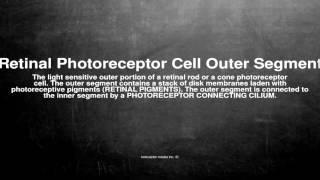 Medical vocabulary: What does Retinal Photoreceptor Cell Outer Segment mean