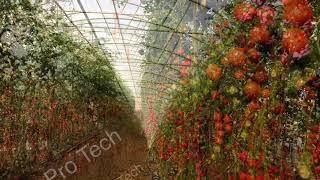 Greenhouses by Protech, Commercial greenhouse, permanent greenhouse, rain gutter collection