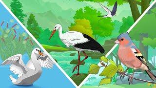 ПЕРЕЛЕТНЫЕ ПТИЦЫ для детей | Изучаем перелетных птиц