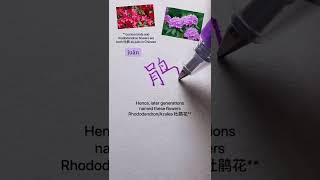 Azalea/Rhododendron  6th flower of top 10 #chinese #mandarin #calligraphy #chinesewriting #language