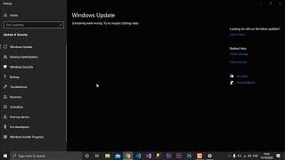 Windows 10 Update | Something went wrong try to reopen settings later