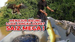 MEGA Catfish!  |  Walau Tertidur, Hasil Dapat Luar Jangka Juga #eps279