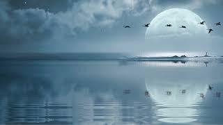 Minor Key Relaxing Piano Music for Sleep, Calm Chords, Moonlight Serene Night Music