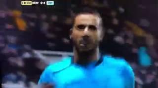 Chadli Goal vs Newcastle