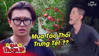 Phá Án #159 - TÁO THỐI Rụng Đầy Nhà, Vì Thú Vui TRƯNG "KIỂNG QUÝ" NGÀY TẾT | Anh Thám Tử @vinhtranatt