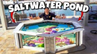 I Built My DREAM SALTWATER MINI POND!