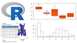 Data Science with R: Statistical Analysis & Visualization using Iris Dataset