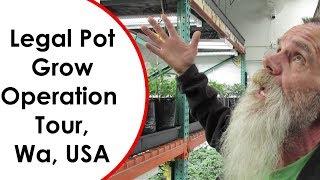 Legal Marijuana Grow Operation Tour Washington State