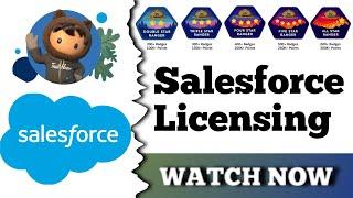 Salesforce Licensing | Salesforce Trailhead | Quiz Solution