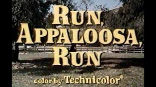 Run, Appaloosa, Run - The Wonderful World of Disney