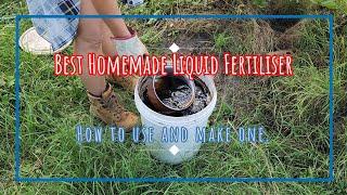 Best Homemade Liquid Fertiliser - How to Use and Make Compost Tea #gardening #growyourownfood