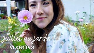 Vlog 143 - Juillet au jardin