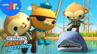 Alligator-Shark Showdown / Quest for Cocoa  Octonauts: Above & Beyond FULL EPISODE