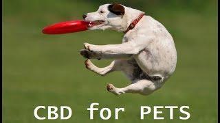 Canna-Pet® Rated #1 CBD Nutritional Products for Pets