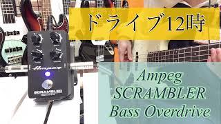 Ampeg SCRAMBLER Bass Overdrive 弾いてみた