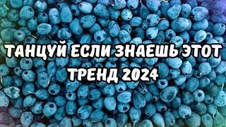 ТАНЦУЙ ЕСЛИ ЗНАЕШЬ ЭТОТ ТРЕНД 2024