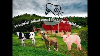 10 Popular Farm Animal Sound Effects Pack