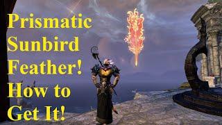 ESO How to Get the Prismatic Sunbird Feather!