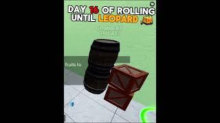 Day 16 of rolling fruit until I get LEOPARD in Blox Fruits!