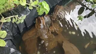 How to make a Waterfall for Fish Pond