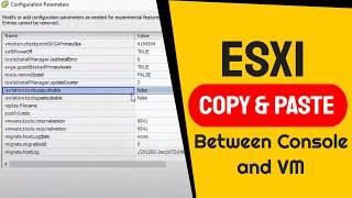 VMware vSphere ESXi - Enable Copy and Paste between Console and Windows VM
