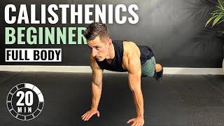 20 Min BEGINNER CALISTHENICS WORKOUT at Home | No Equipment