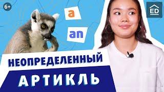 Неопределенный артикль A/AN | Артикли в английском языке | Грамматика английского языка | EnglishDom