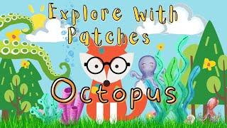 Octopus | Did You Know? | Explore Learn and Play