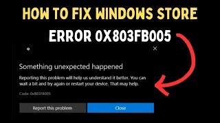 How to Fix Windows Store Error 0x803FB005 on Windows 11