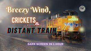  Sounds of Breezy Wind, Crickets, and Distant Train ⨀ 11 Hours ⨀  Dark Screen in 1 Hour