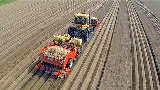 Potato Planting  | Challenger MT 765D + Dewulf Miedema planter | Veerman Goudswaard