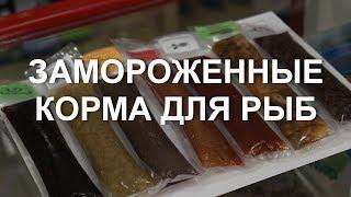 Замороженные корма для рыб: виды и назначение