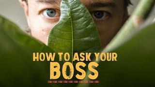 How to ask your boss about working abroad? EP1