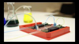 Activating a Microfluidic Chip with a Micropump | Bartels Mikrotechnik