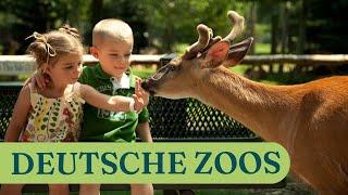 Die schönsten Zoos Deutschlands