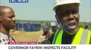 Governor Fayemi inspects Ikun Dairy farm facility