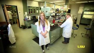 What can the LSU College of Science offer you?