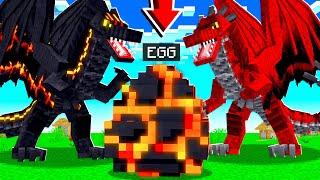 How to BREED *RARE* DRAGONS in MINECRAFT!