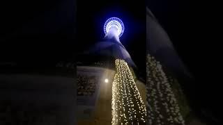 sky tower