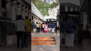 TIRUMALA Tour By Walk  ALIPIRI METTLU #tirumala #tirupati #tirumalabalaji #venkateswaraswami