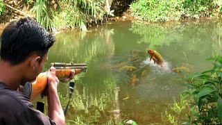 Full video : 2 days of hunting, shooting fish with air rifle skills and setting traps to survive