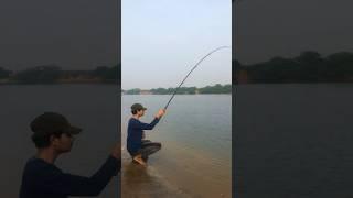 Big fish hunting on the river in Telugu.(mullet fish catching the easyway)#blogger#fishing #blogger